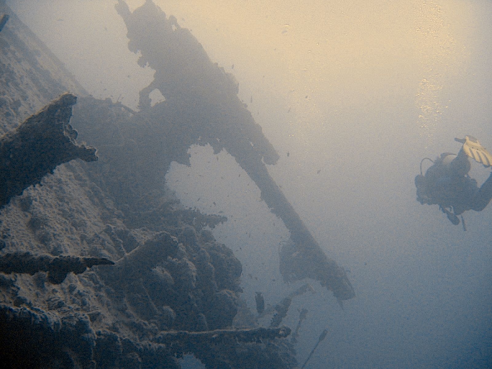 S.S. Thistlegorm divesite photo